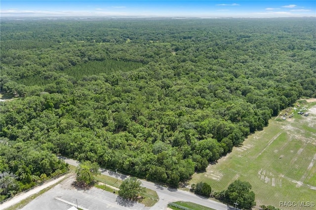 6550 N Tallahassee Rd, Crystal River, FL 34428 - photo 30