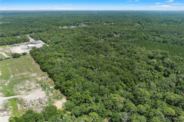 6550 N Tallahassee Rd, Crystal River, FL 34428 - photo 16