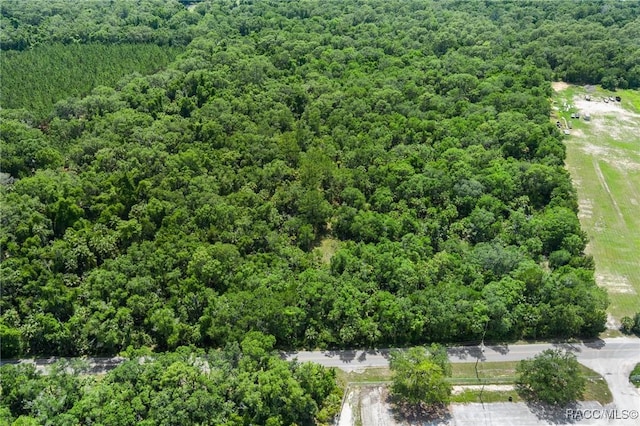 6550 N Tallahassee Rd, Crystal River, FL 34428 - photo 4