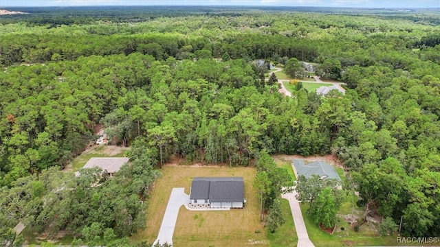 1298 W Stafford St, Hernando, FL 34442 - photo 40