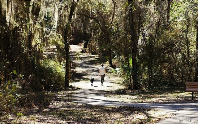 view of property's community with a wooded view