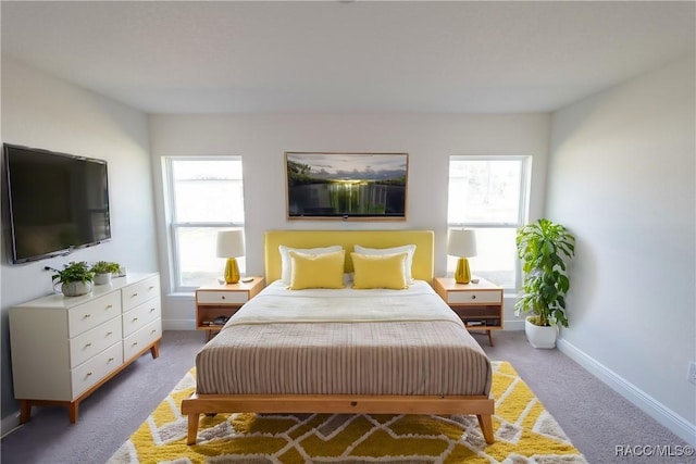 carpeted bedroom with multiple windows