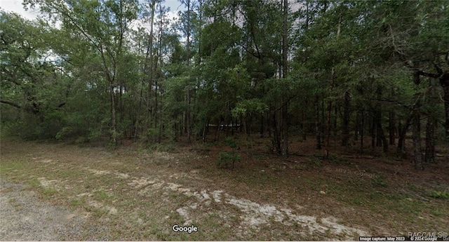 194 E Falcon St, Dunnellon FL, 34434 land for sale