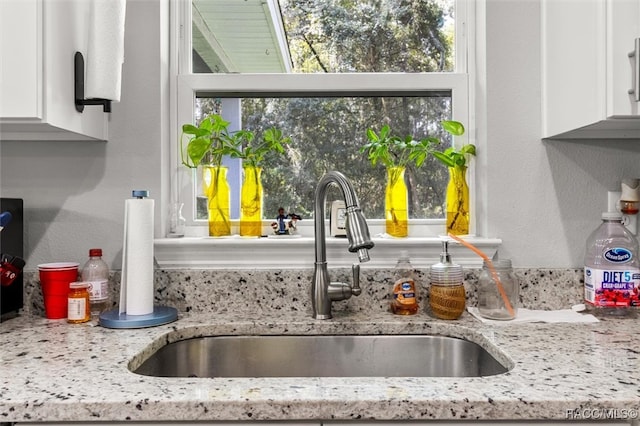 details featuring white cabinetry, light stone countertops, and sink