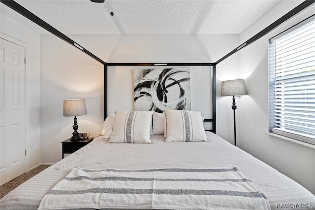 carpeted bedroom featuring multiple windows and a textured ceiling