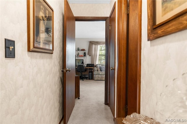 hallway featuring carpet floors