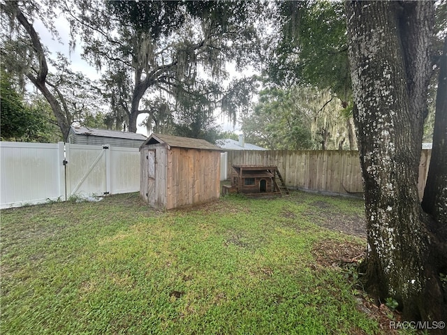 view of yard with a storage shed