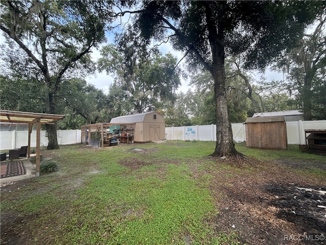 view of yard with a storage shed