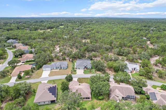 45 Black Willow St, Homosassa, FL 34446 - photo 43