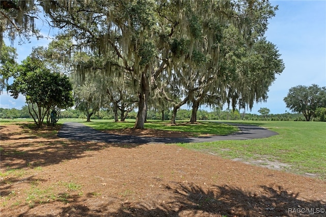231 S Belle View Way, Inverness, FL 34450 - photo 40