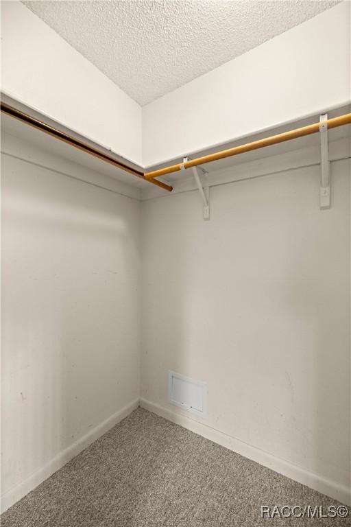522 Hiawatha Ave, Inverness, FL 34452 - spacious closet with carpet