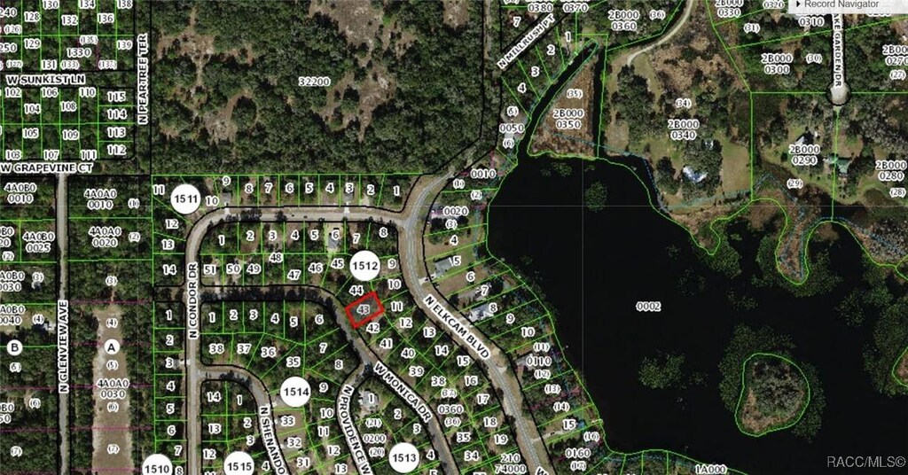 11893 Monica Dr, Dunnellon, FL 34433 - photo 2