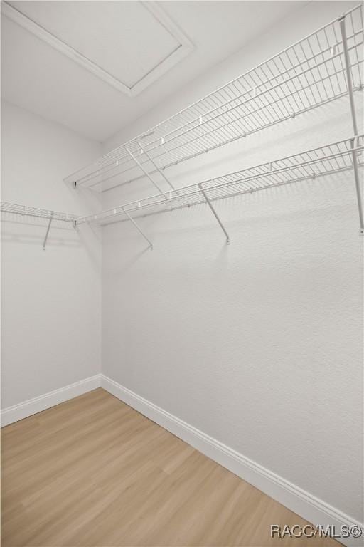 spacious closet with hardwood / wood-style floors