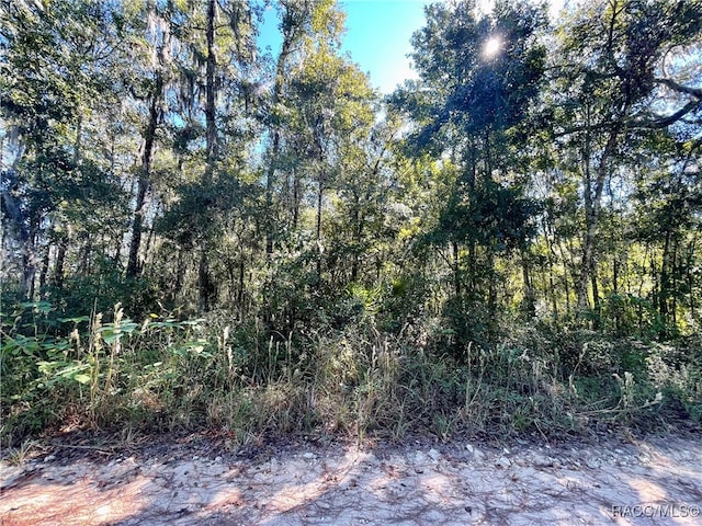 13232 SW 18th Street Rd, Ocala FL, 34481 land for sale