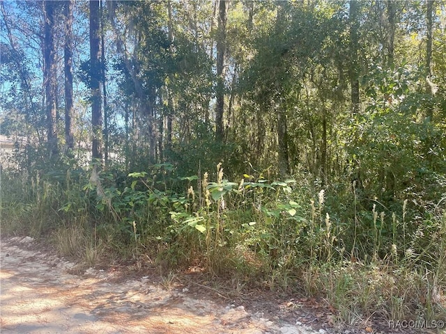 13232 SW 18th Street Rd, Ocala, FL 34481