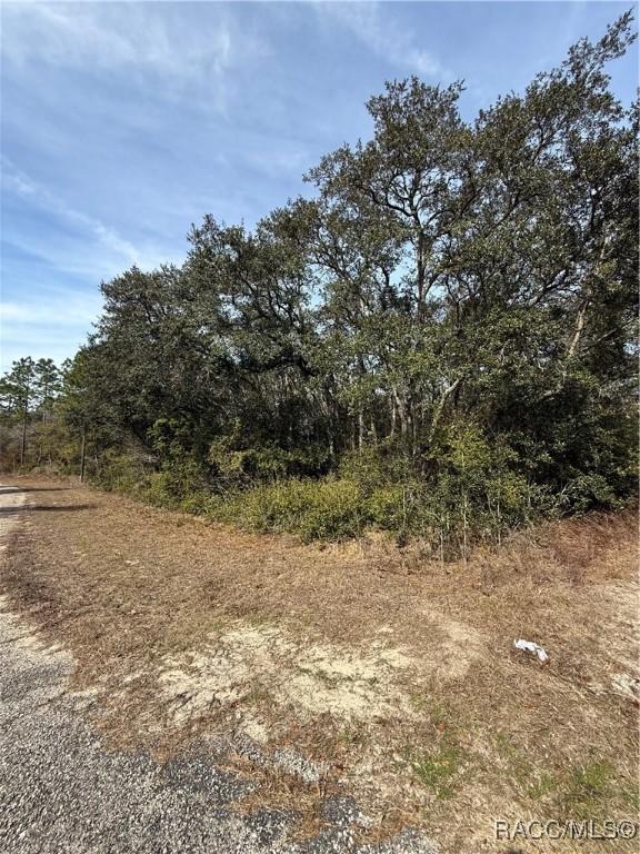 3881 W Tropic Ln, Dunnellon FL, 34433 land for sale