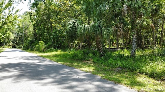 view of road