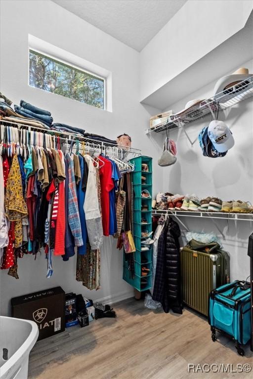 spacious closet with wood finished floors