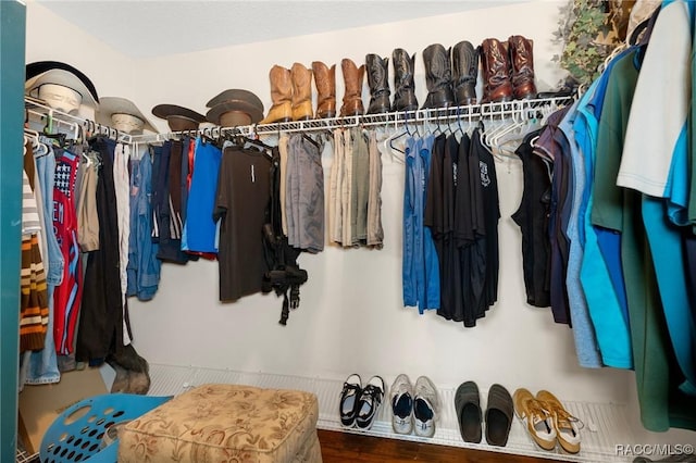 view of walk in closet