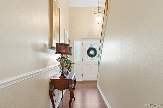 entryway featuring dark hardwood / wood-style flooring