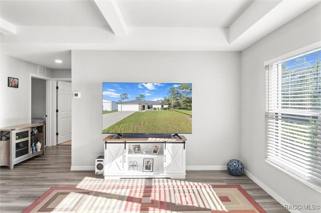 living room featuring hardwood / wood-style flooring