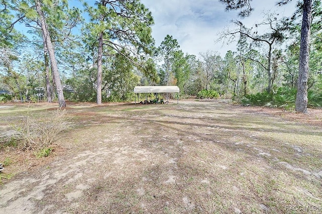 view of yard featuring a detached carport