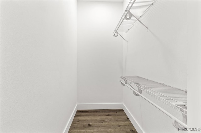 spacious closet with wood finished floors