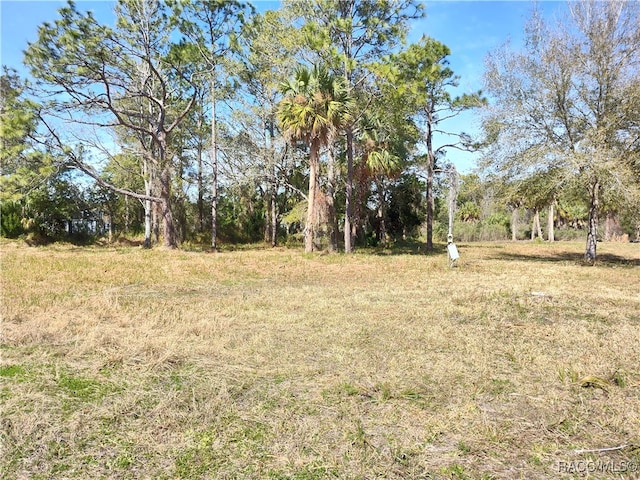 Listing photo 2 for 6911 W Grover Cleveland Blvd, Homosassa FL 34446