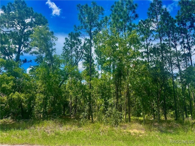 4 Pagoda Ct E, Homosassa, FL 34446 - photo 1