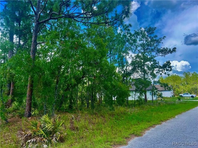 4 Pagoda Ct E, Homosassa, FL 34446 - photo 2
