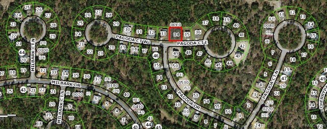 4 Pagoda Ct E, Homosassa, FL 34446 - photo 5