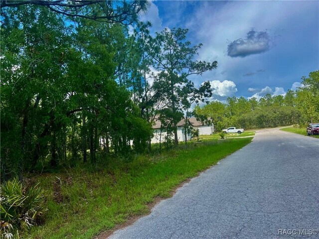 4 Pagoda Ct E, Homosassa, FL 34446 - photo 3