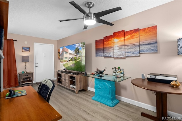 office featuring ceiling fan, light hardwood / wood-style floors, and a textured ceiling