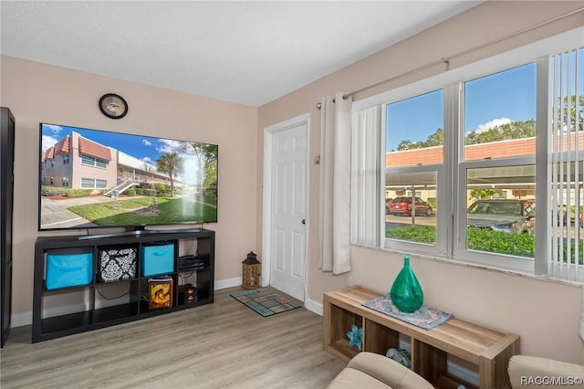10038 62nd Ter N Unit 2, Saint Petersburg, FL 33708 - living room with wood finished floors and baseboards