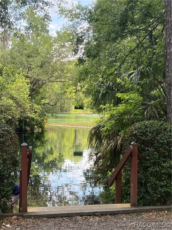 property view of water