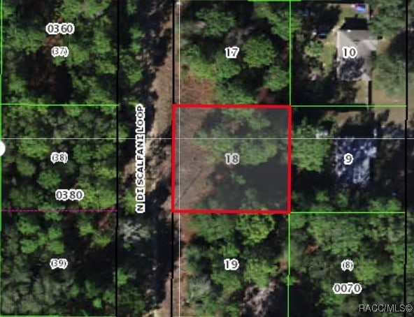 8699 N Discalfani Loop, Crystal River FL, 34428 land for sale