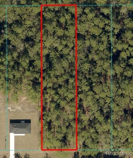 0 SW 54th St, Dunnellon FL, 34431 land for sale