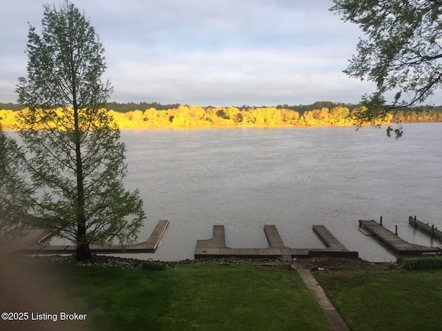 water view featuring a boat dock