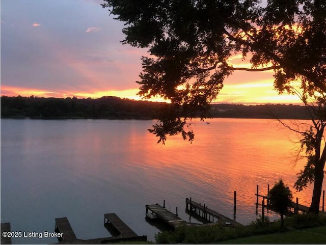 property view of water with a boat dock