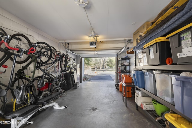 garage with a garage door opener