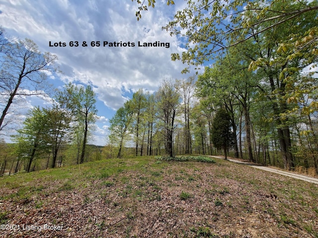 63-65 Patriots Landing Ln, Falls Of Rough KY, 40119 land for sale