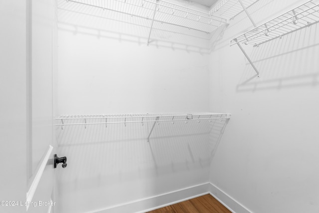 walk in closet with wood-type flooring