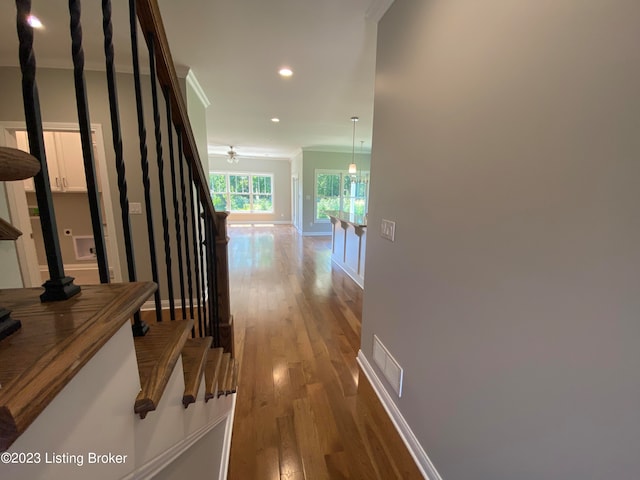 7515 Pavilion Park Rd, Louisville, KY 40214 - photo 17