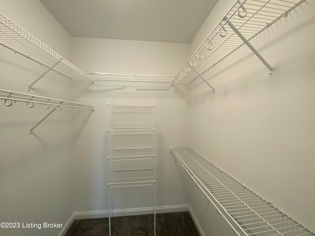 7515 Pavilion Park Rd, Louisville, KY 40214 - photo 42