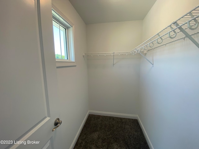 7515 Pavilion Park Rd, Louisville, KY 40214 - photo 61