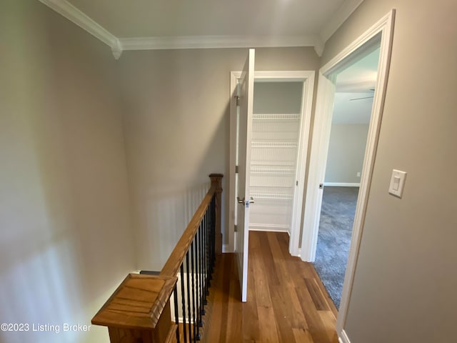 7515 Pavilion Park Rd, Louisville, KY 40214 - photo 58