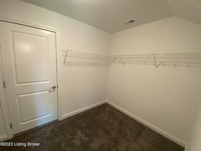 7515 Pavilion Park Rd, Louisville, KY 40214 - photo 67