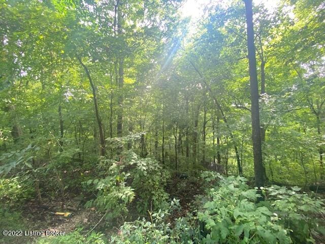 Listing photo 2 for LOT40 Jm Mercer Campsite Rd, Hudson KY 40145