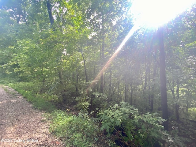 Listing photo 3 for LOT40 Jm Mercer Campsite Rd, Hudson KY 40145