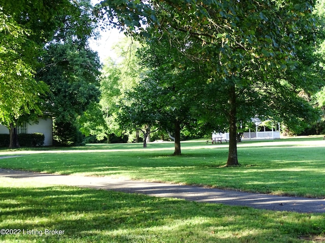 8412 Oxford Woods Ct, Louisville, KY 40222 - photo 71
